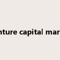 venture capital market是什么意思