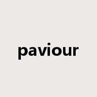 paviour是什么意思