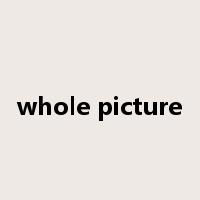 whole picture是什么意思
