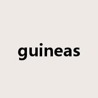 guineas是什么意思