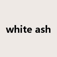 white ash是什么意思