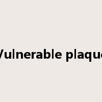 Vulnerable plaque是什么意思