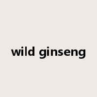 wild ginseng是什么意思