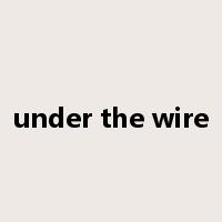 under the wire是什么意思
