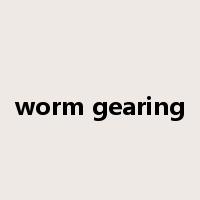 worm gearing是什么意思