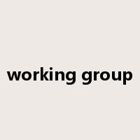 working group是什么意思