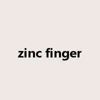 zinc finger是什么意思