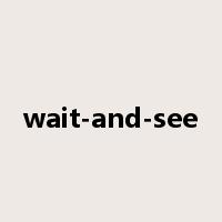 wait-and-see是什么意思