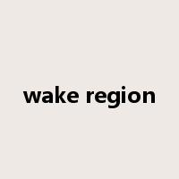 wake region是什么意思