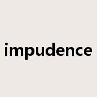 impudence是什么意思