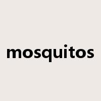 mosquitos是什么意思