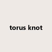 torus knot是什么意思