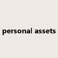 personal assets是什么意思
