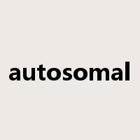 autosomal是什么意思