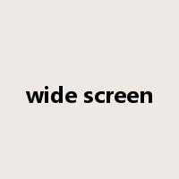wide screen是什么意思
