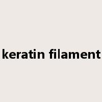 keratin filament是什么意思