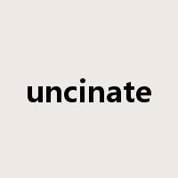 uncinate是什么意思
