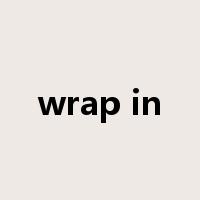 wrap in是什么意思