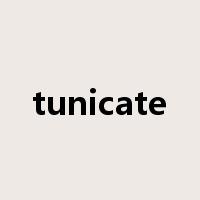 tunicate是什么意思