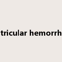 ventricular hemorrhage是什么意思