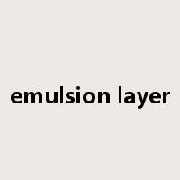 emulsion layer是什么意思