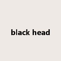 black head是什么意思