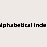 alphabetical index是什么意思