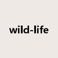 wild-life是什么意思
