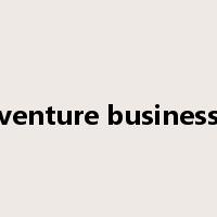 venture business是什么意思