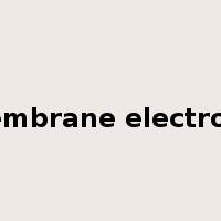 membrane electrode是什么意思