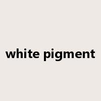 white pigment是什么意思