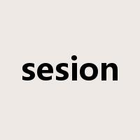 sesion是什么意思