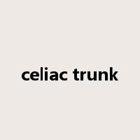 celiac trunk是什么意思