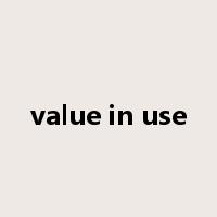 value in use是什么意思