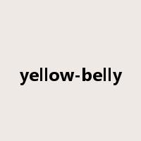 yellow-belly是什么意思