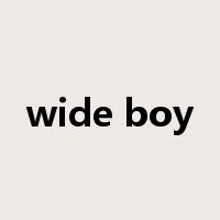 wide boy是什么意思