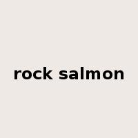 rock salmon是什么意思