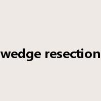 wedge resection是什么意思