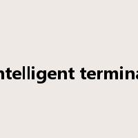 intelligent terminal是什么意思