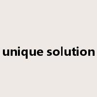 unique solution是什么意思