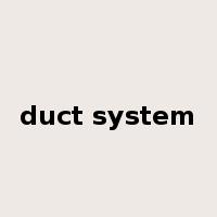 duct system是什么意思