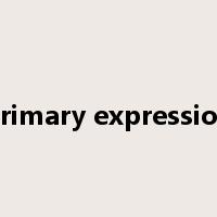 primary expression是什么意思