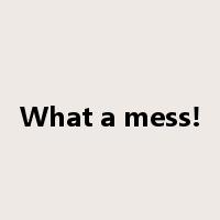 What a mess!是什么意思