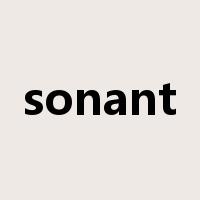 sonant是什么意思