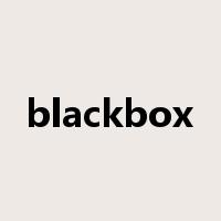 blackbox是什么意思