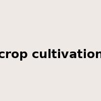 crop cultivation是什么意思