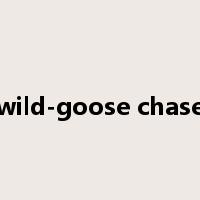 wild-goose chase是什么意思