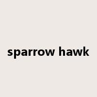 sparrow hawk是什么意思