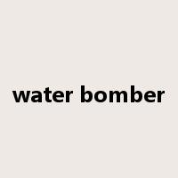 water bomber是什么意思