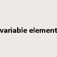 variable element是什么意思